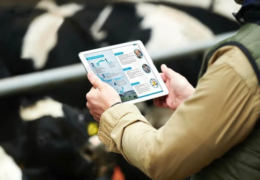 Hands holding a white tablet displaying a multi-step hygiene protocol infographic, with a grazing cow blurred in the background.